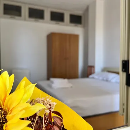 Rei's Place Vlore