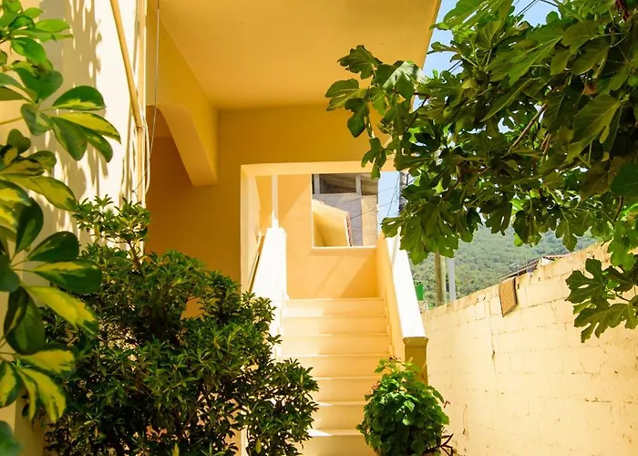 Rei's Place ゲストハウス 3*